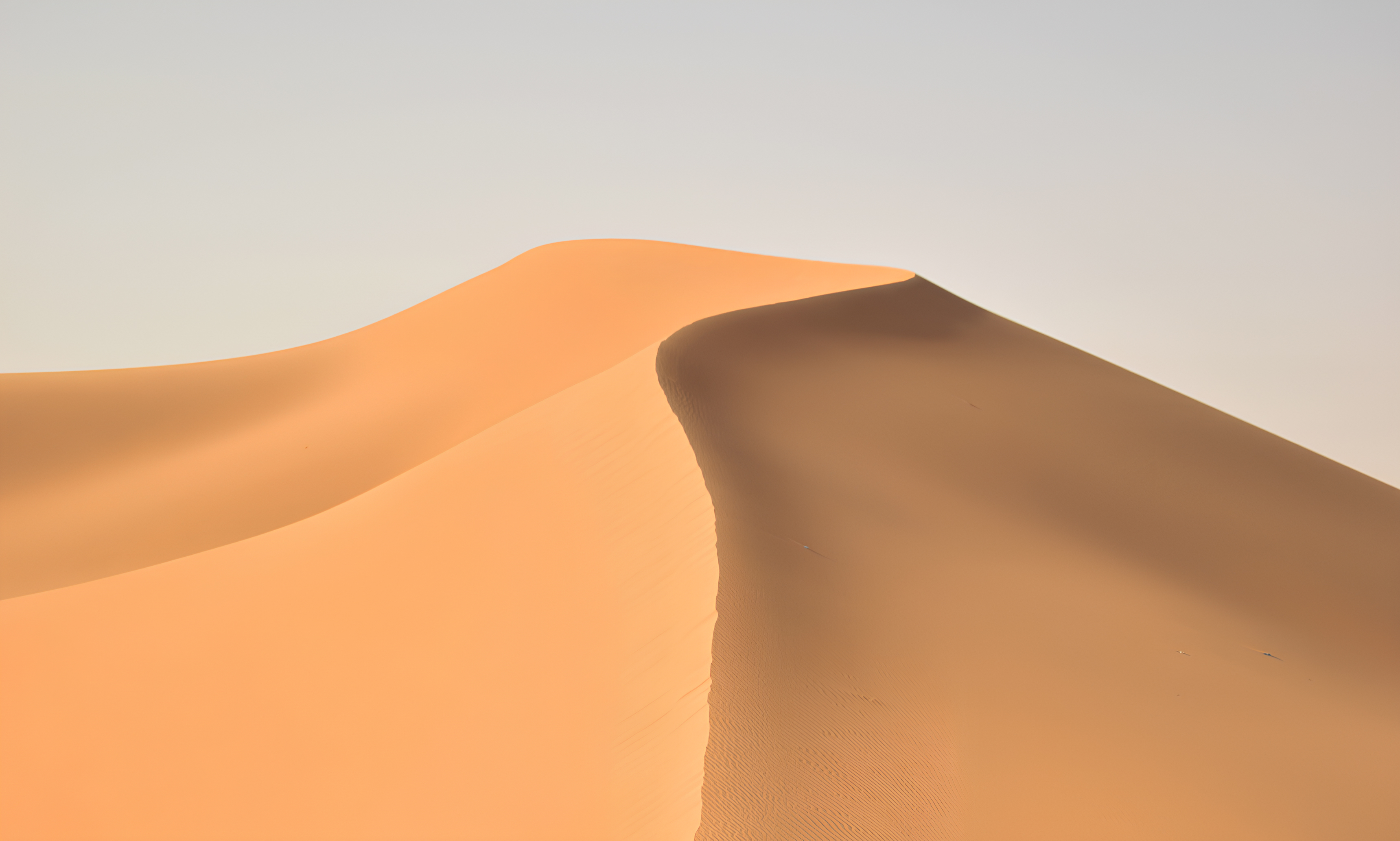 Desert